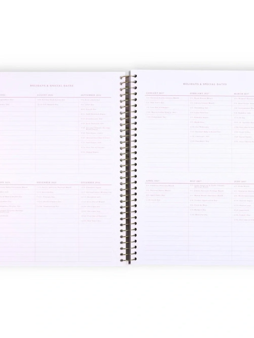 LoveShackFancy Target Yoobi Weekly Monthly Planner Ribbon Rose Sterling Teacher